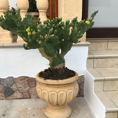 Appartement Casa